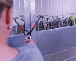 Abus Touch Fingerprint Padlock | Vorhangschloss Mit Fingerabdruck -Cube Verkaufsgeschäft abus touch fingerprint padlock vorhangschloss mit fingerabdruck 004 92878 2200x1760 1280x1280