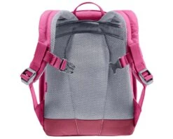 Deuter Pico 5 Liter Kinder-Rucksack PFC-frei | Bloom-ruby -Cube Verkaufsgeschäft deuter pico 5 liter kinder rucksack pfc frei bloom ruby 003 96645 2200x1760 1280x1280