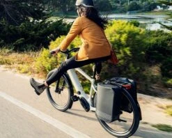 Specialized Tailwind - Gepäckträgertasche | Black -Cube Verkaufsgeschäft specialized tailwind gepcktrgertasche black rechts 004 86990 2200x1760 1280x1280